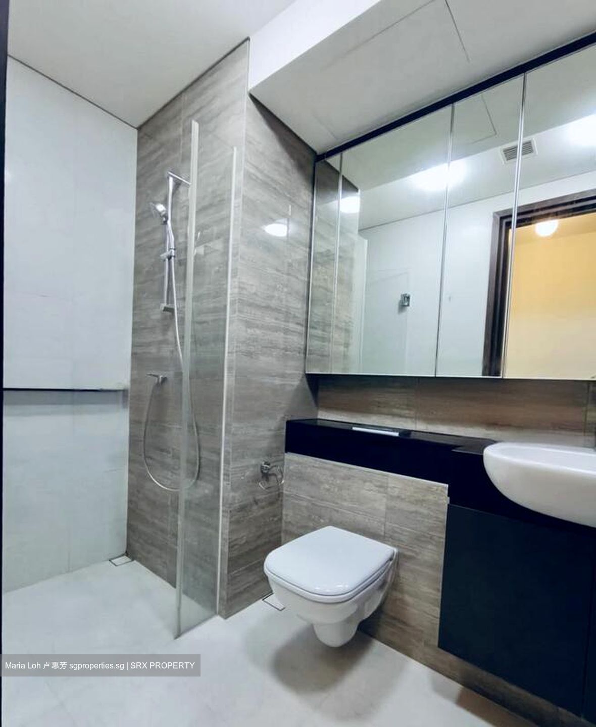 Park Place Residences At Plq (D14), Apartment #459034031